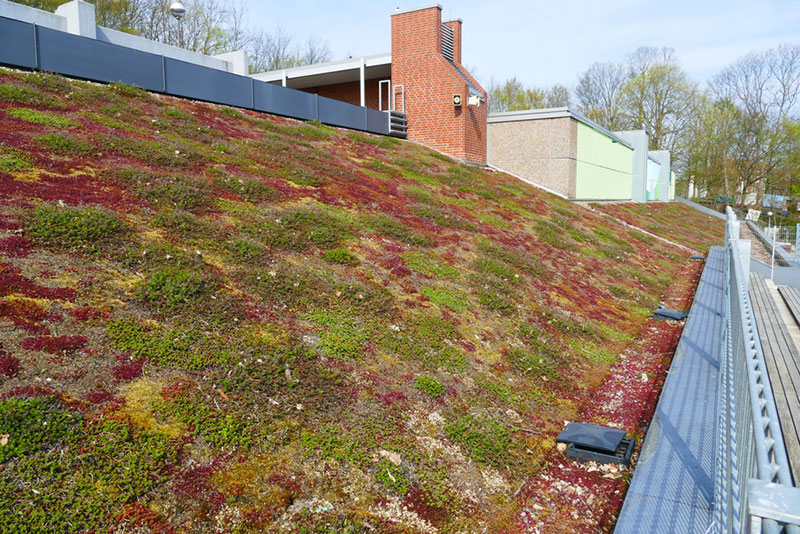 Travaux de rénovation de toiture et étanchéité de toit terrasse dans un collège