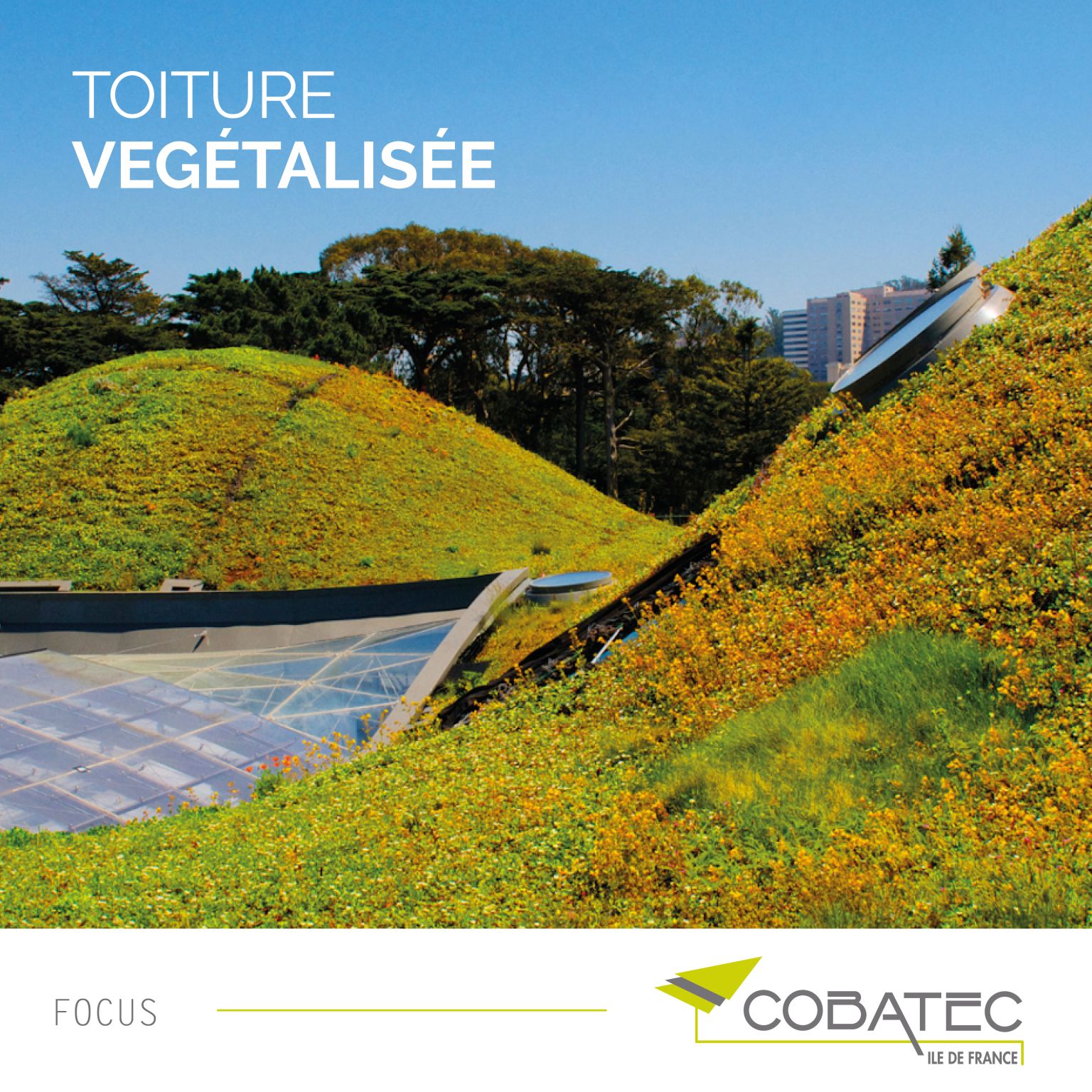 Toiture v&eacute;g&eacute;talis&eacute;e en &Icirc;le-de-France - Pose par COBATEC